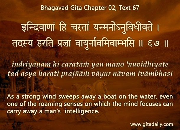 The mind is omnivorous – it devours whatever is present and feels pleasant