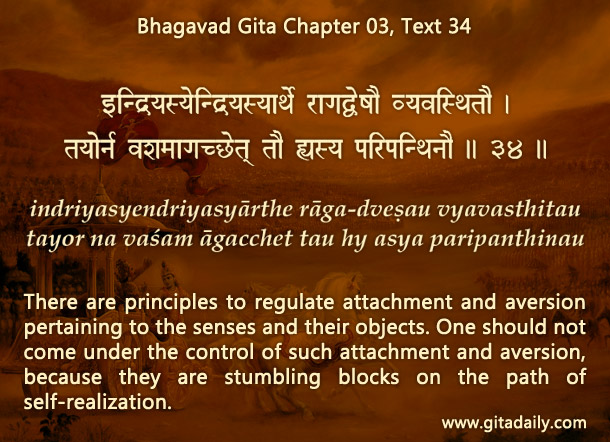 Bhagavad Gita Chapter 03 Text 34