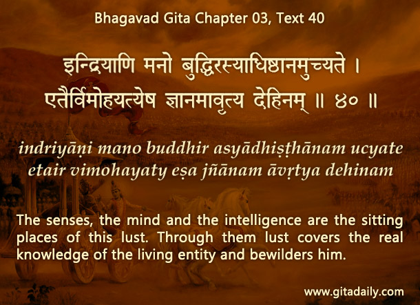 Bhagavad Gita Chapter 03 Text 40