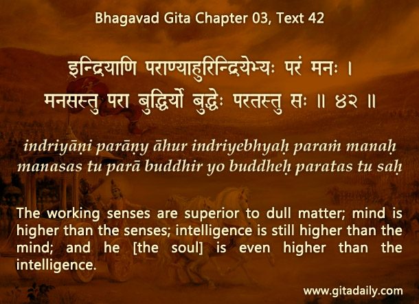 Bhagavad Gita Chapter 03 Text 42
