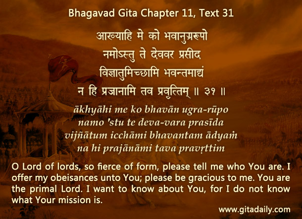 Why does Arjuna ask Krishna about the identity of the revelation of the Universal Form?