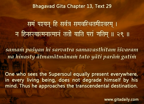 Bhagavad Gita Chapter 13 Text 29