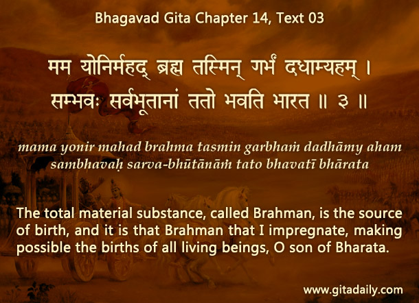 Bhagavad Gita Chapter 14 Text 03