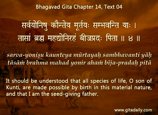 Why gratitude is vital for bhakti