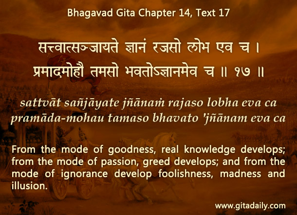 Is our knowledge making us prouder or wiser?